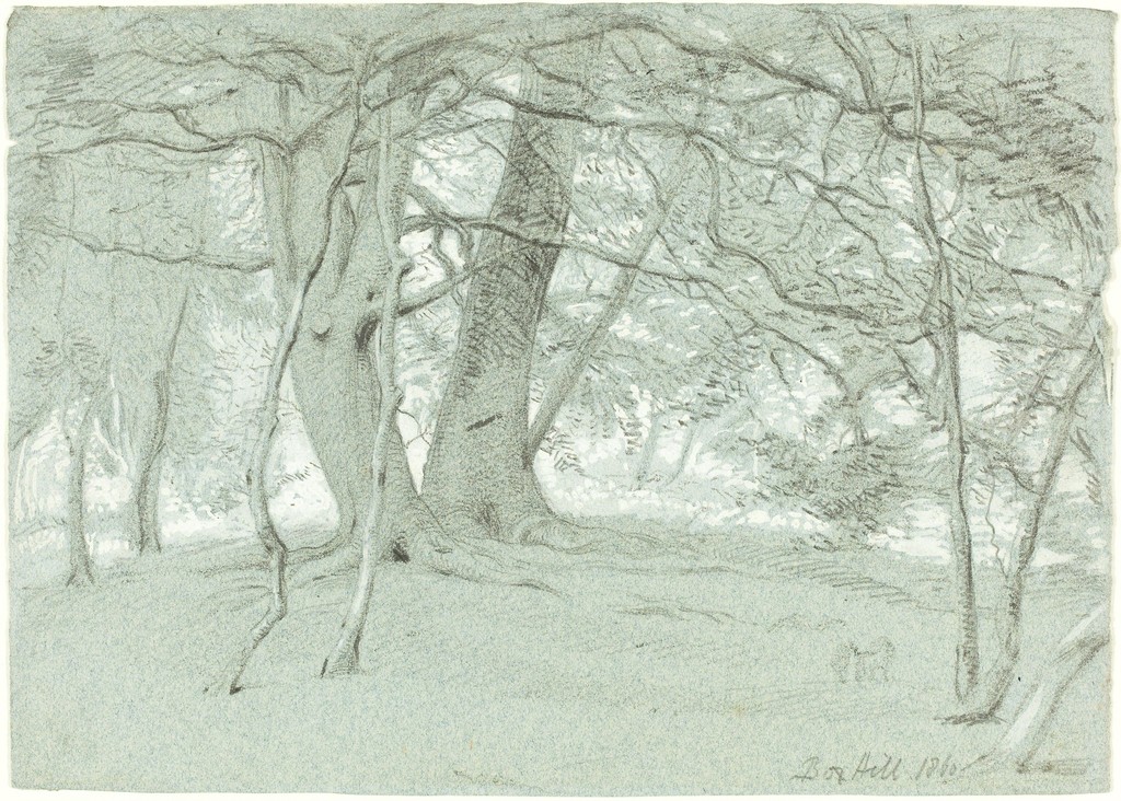 william-blake-trees-at-box-hill-1860.jpg