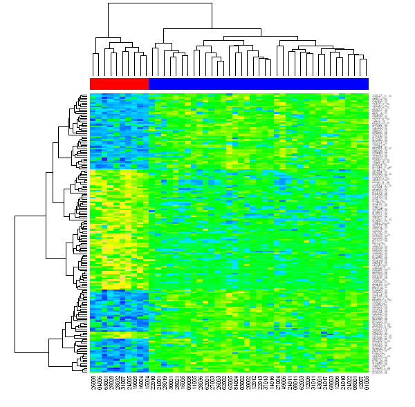 [Heatmap generated from Python]