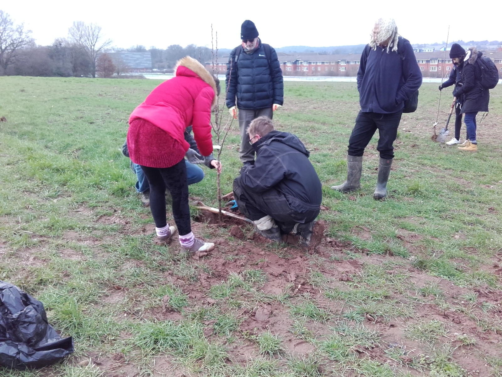 An image of planting the new orchard.jpg