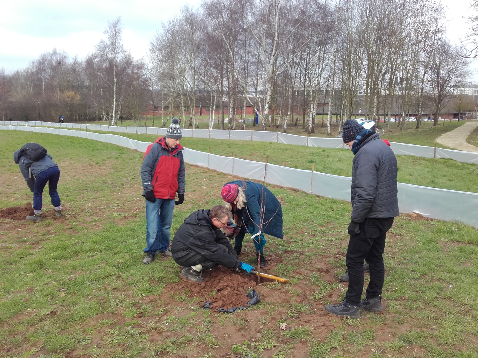 An image of planting the new orchard