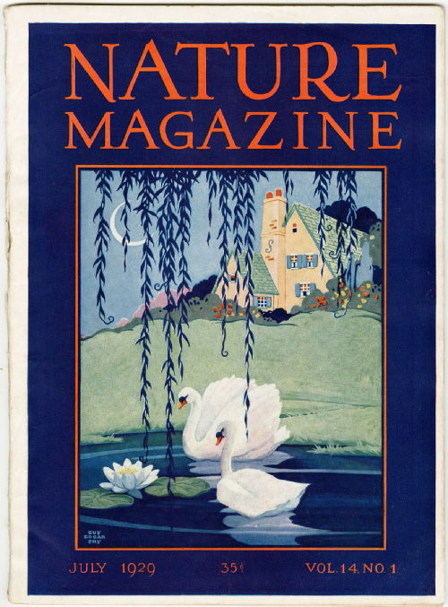 nature_cover_1929.jpg