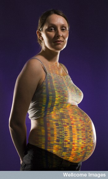 DNA projected on pregnant woman