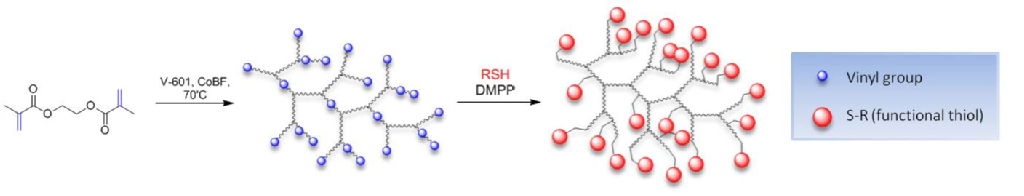 Synthesis of branched functional polymers using a combination of CCTP and thiol-Michael addition