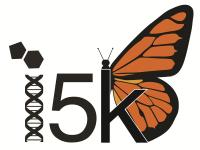 i5K logo