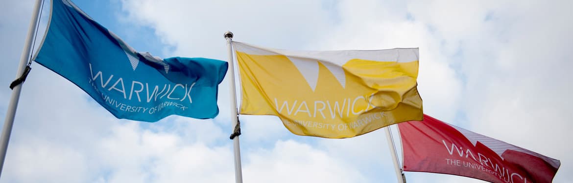 Warwick flags