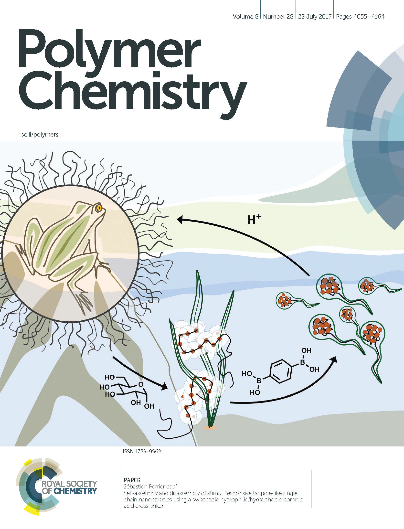 Polymer chem front cover