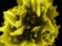 A Gold Nanoparticle