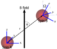 spin pair orientation