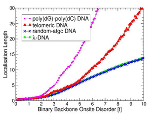 [Image: Increasing localization lengths with increasing backbone disorder for the ladder model of DNA]