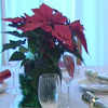Helping the UK's Poinsettia growers
