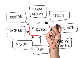 Business coaching plan