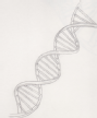 dna_cropped.png