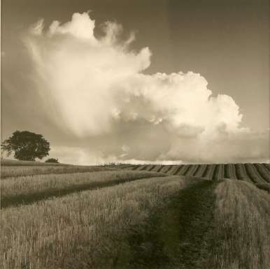 White Cloud near Bilsington by Fay Godwin