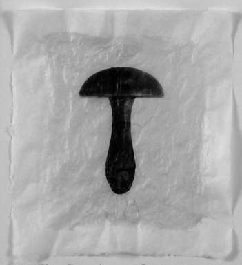 Icon II/XXVII Darning Mushroom by Gary Kirkham