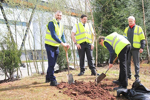 Photo of the team working to plant the trees