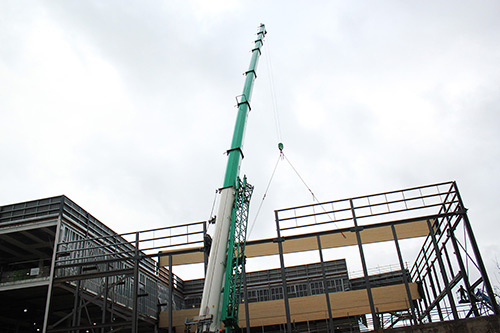 Photo of the crane in action