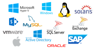 icons showing examples of the various software that commvault supports.  Included are Microsoft Windows, Microsoft Active Directory, Microsoft HyperV, VMWare, SQL Server, Oracle, Linux.