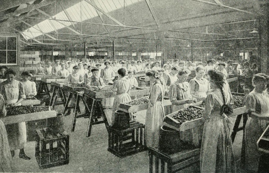 Confectionery and food preserving workers