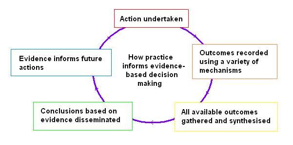 cycle of evidence