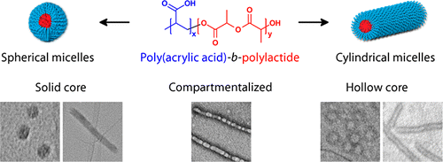 Hollow Block Copolymer Nanoparticles through a Spontaneous One-step Structural Reorganization